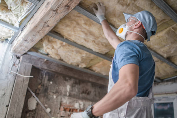 Best Residential Insulation in Derwood, MD