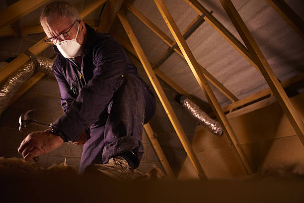 Types of Insulation We Offer in Derwood, MD
